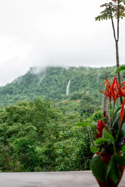 Remote Costa Rica Waterfall Wedding Retreat with Earth Homes, Permaculture Farm & Bamboo Yoga Shala - Multi-day wedding venue - Photo 2