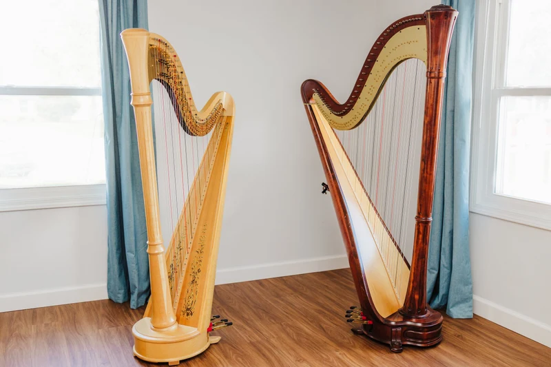 Maia Wachter- Harpist portfolio photo