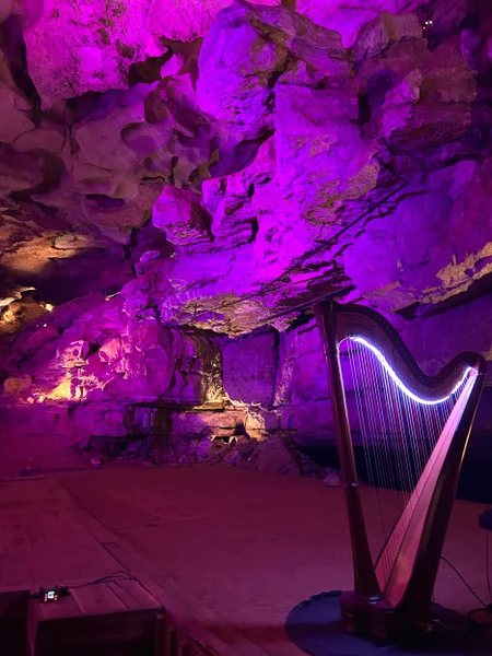 Maia Wachter- Harpist harp lit up on stage for a wedding held in a cave