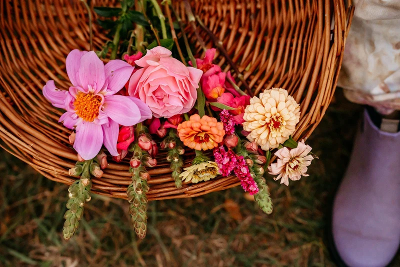 Moondance Flower Farm portfolio photo