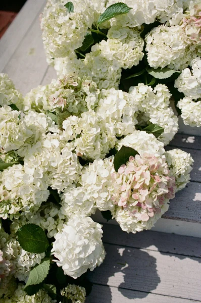 Little White Dress Events white hydrangeas gathered on porch steps