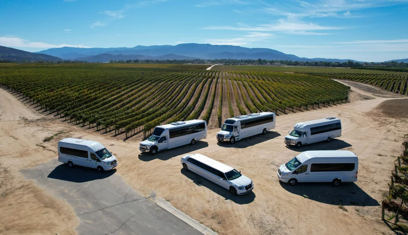 Stryder Transportation vans, shuttle buses and a white limousine parked beside a vineyard