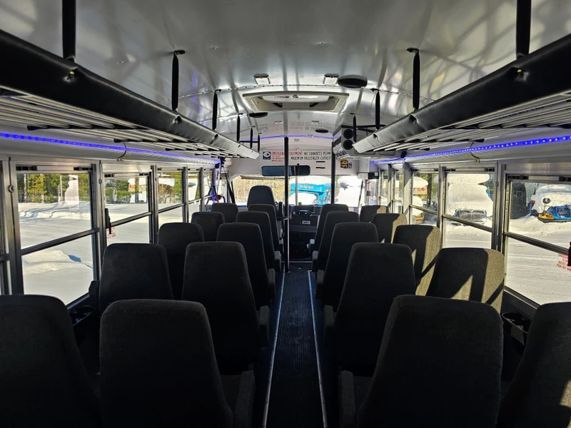 The Magic Shuttle Bus portfolio photo
