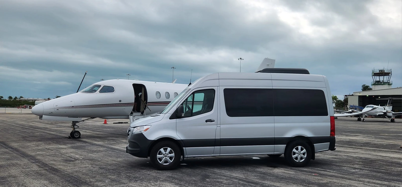 Platinum Limousine 1